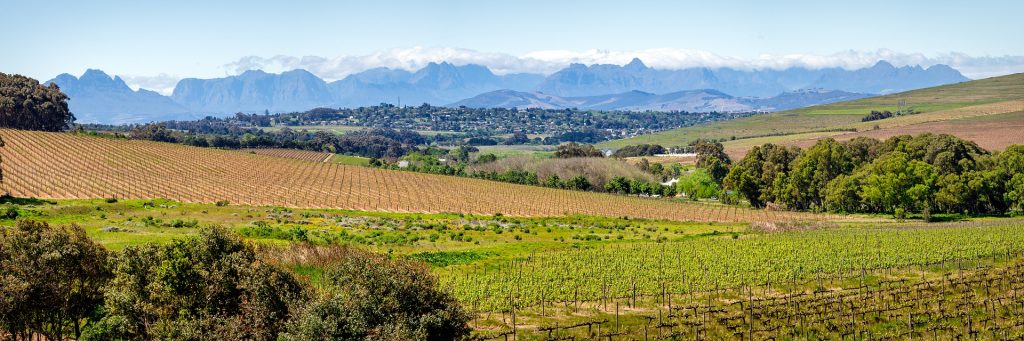 Les domaines viticoles et leurs cadeaux de la nature